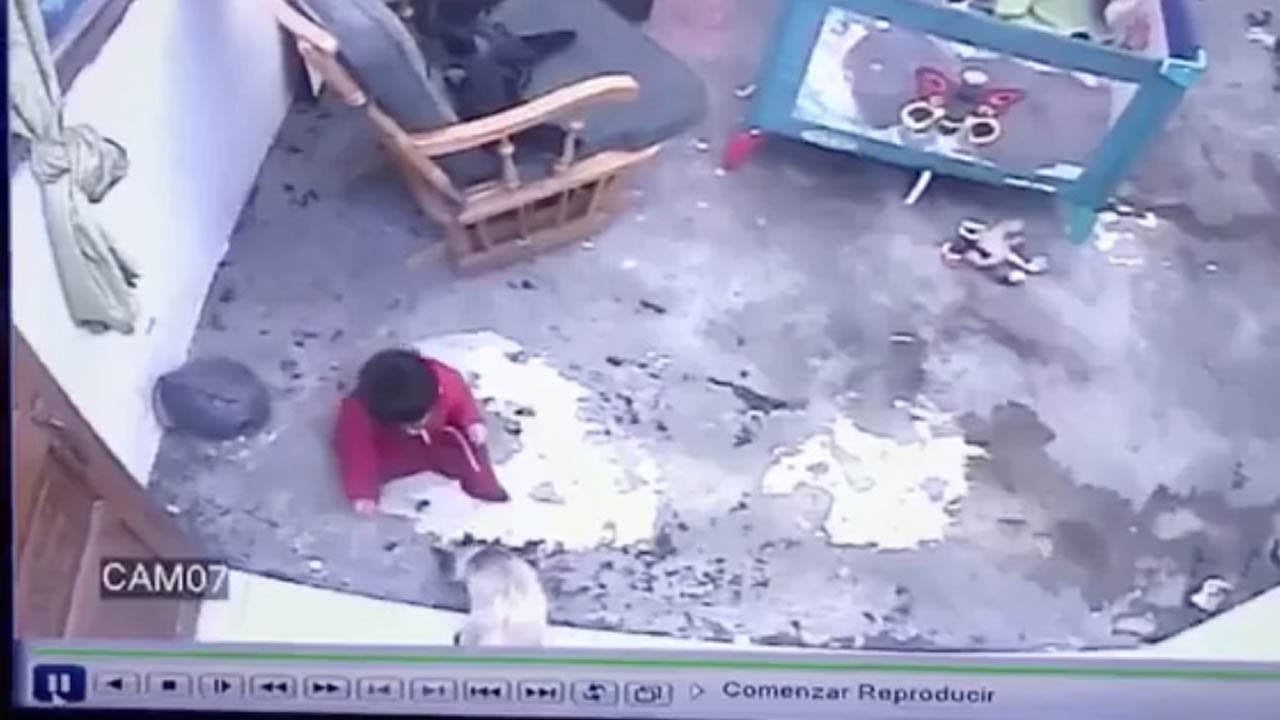 This hasn’t been posted in almost a year so... Cat Saves Toddler From Falling Downstairs.
