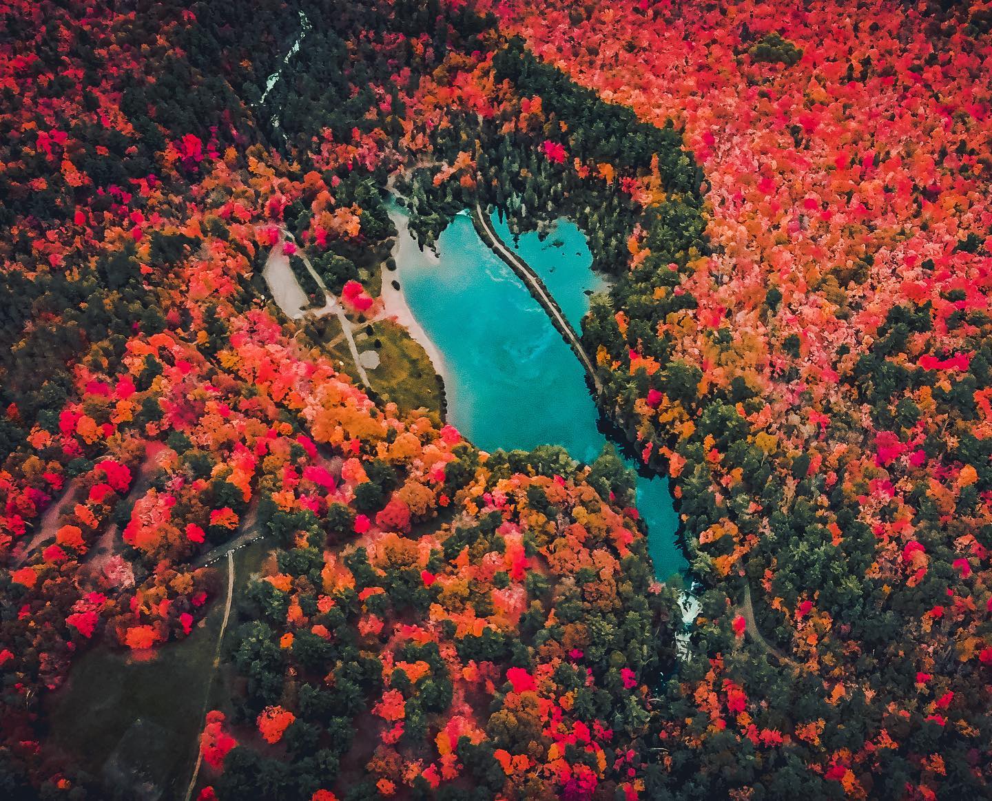 Fall in Northern Ontario, Canada is actually lit.