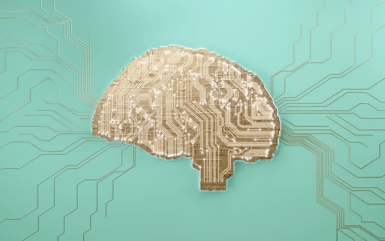 The Fading Dream of the Computer Brain
