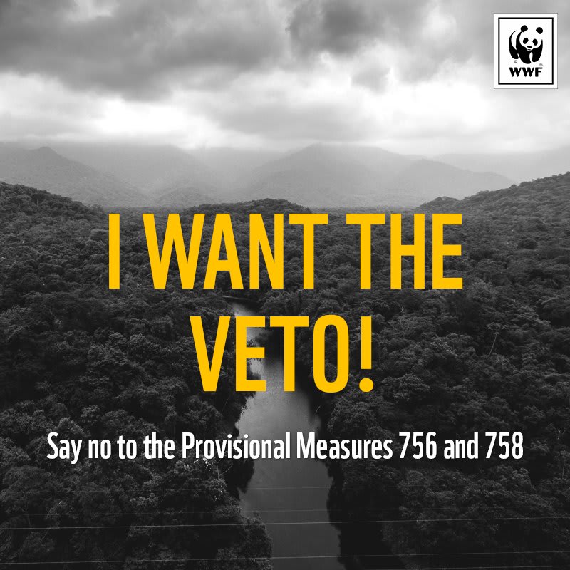 Help us veto the provisional measures which would reduce the protected area of the Amazon by almost 600k hectares