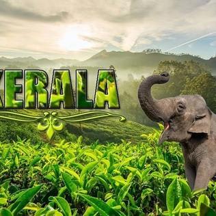 Amazing Places to visit in Kerala for Tourist