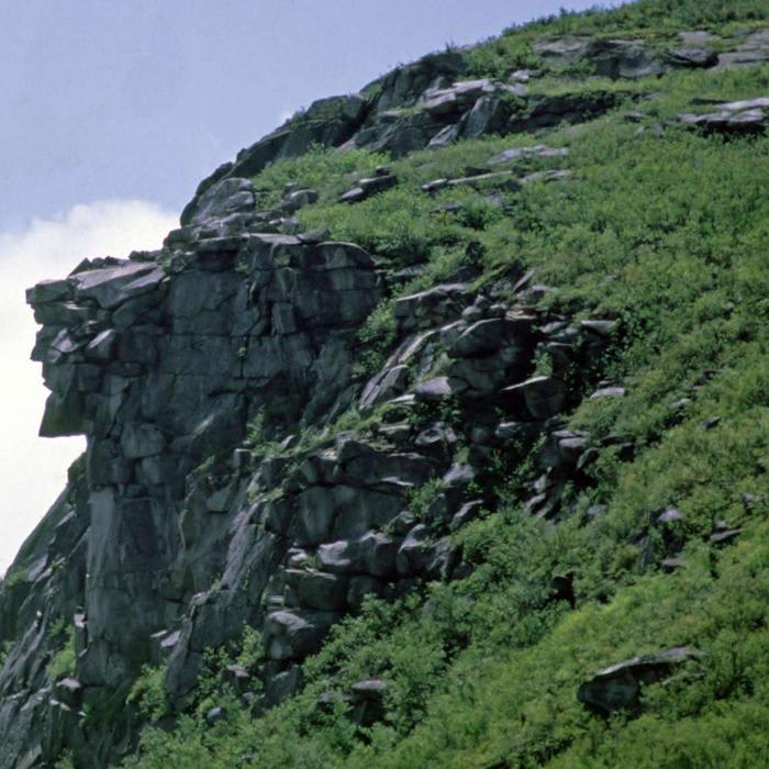 12 Solid Facts About New Hampshire's Old Man of the Mountain