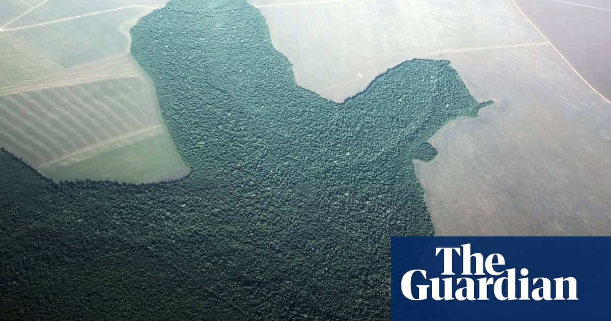 Amazon deforestation accelerating towards unrecoverable 'tipping point'