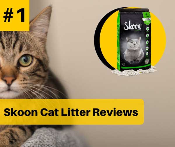 Skoon Cat Litter Reviews in 2020
