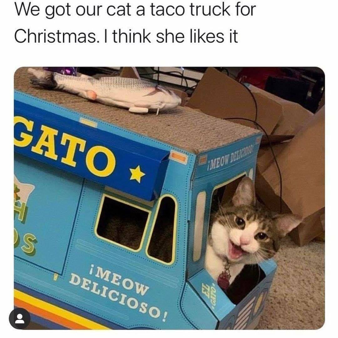 Taco cat!