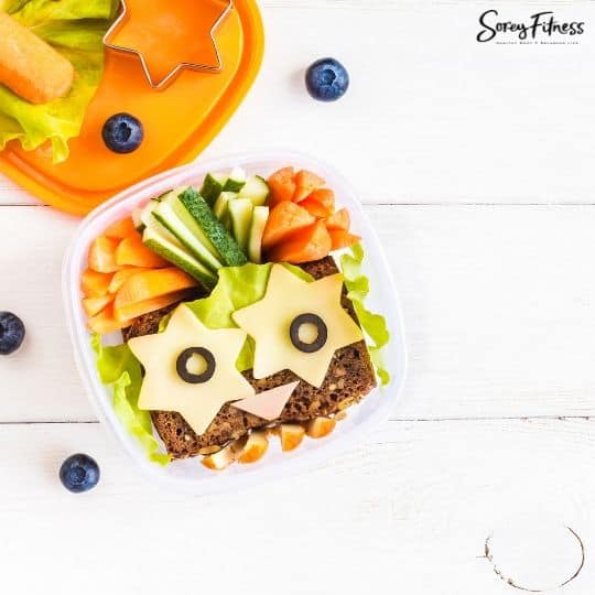 21 Easy Healthy School Lunch Ideas for Kids