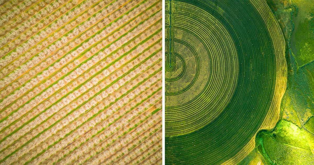 Stunning Aerial Photographs by Mitch Rouse Capture the Precise Patterns of Farmland