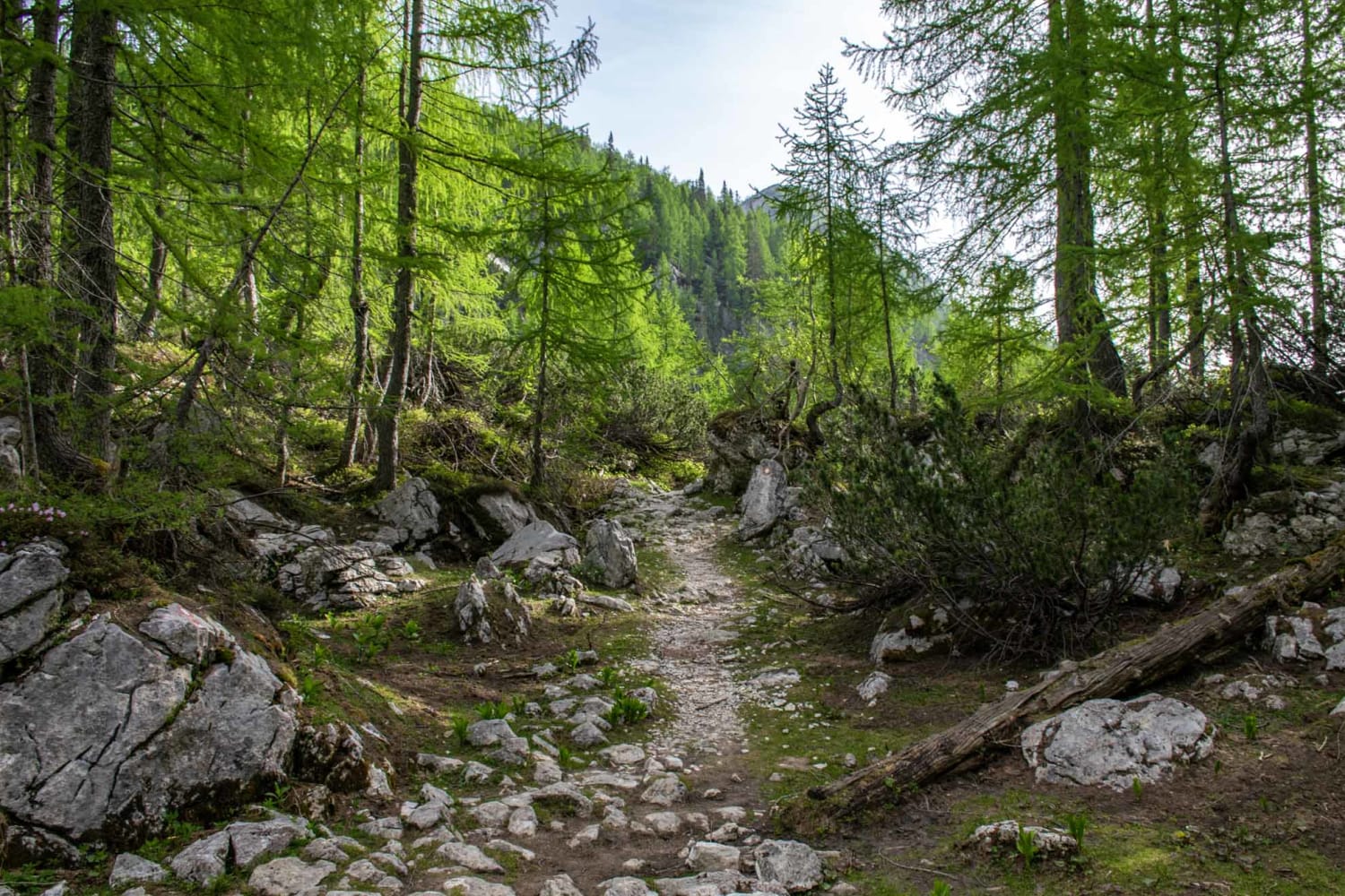 21 Photos to Inspire Your First Slovenia Trip