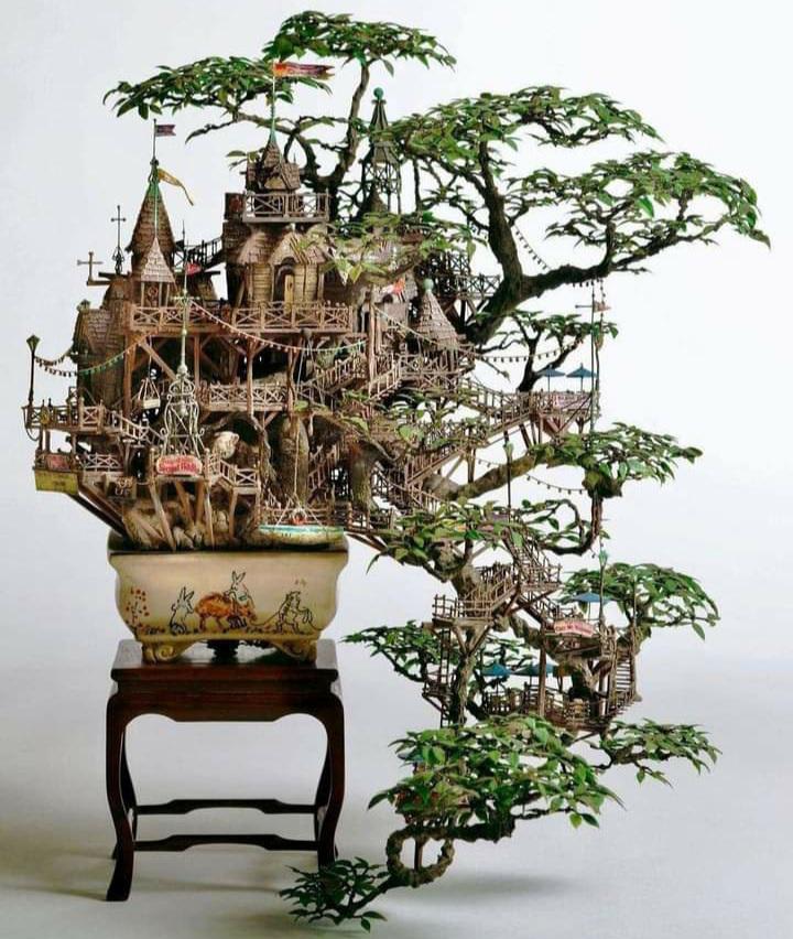 Bonsai Tree house, by Takanori Aiba