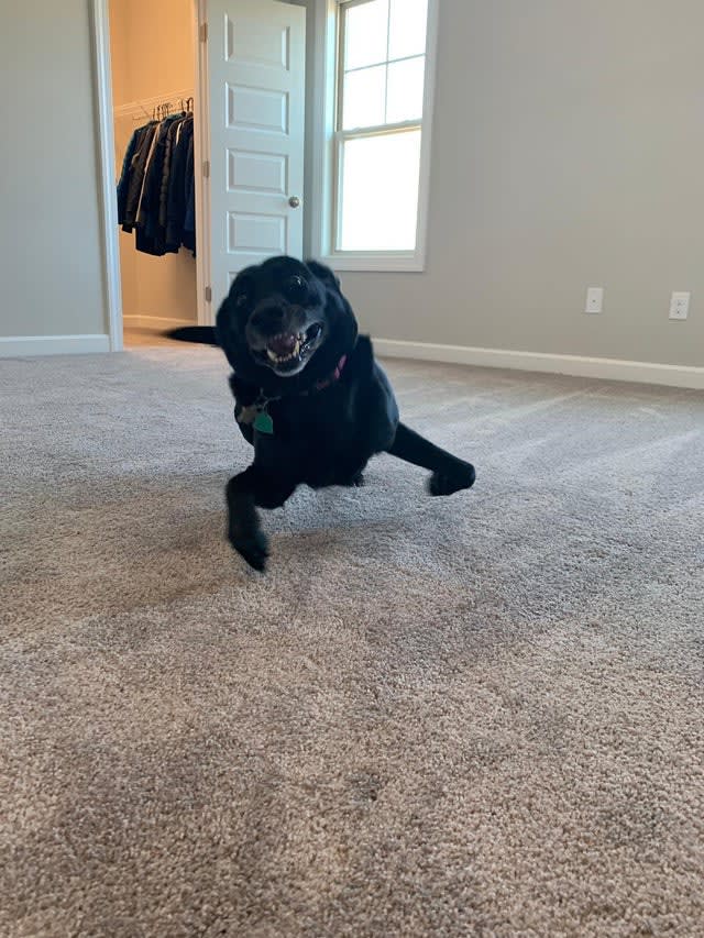 He's very excited about the carpets in the new house