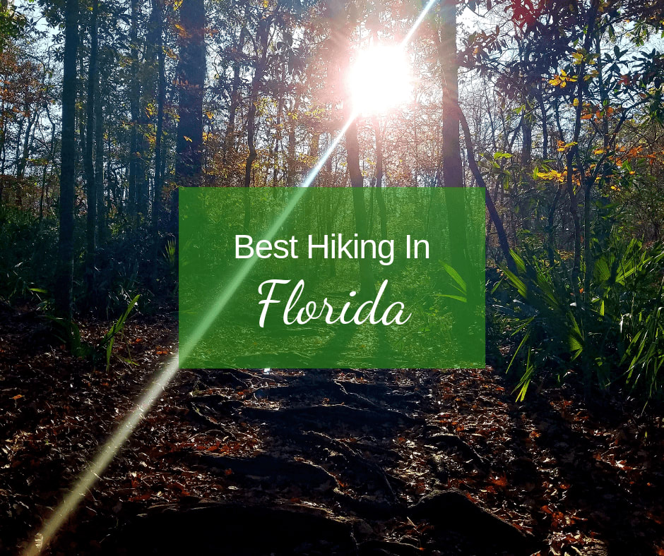 Best Hiking In Florida