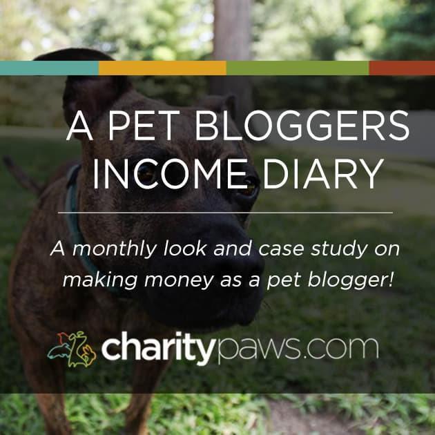 A Pet Bloggers Journey To Monetizing A Blog