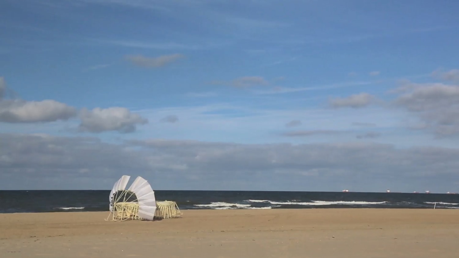Theo Jansen's wind powered "strandbeests"