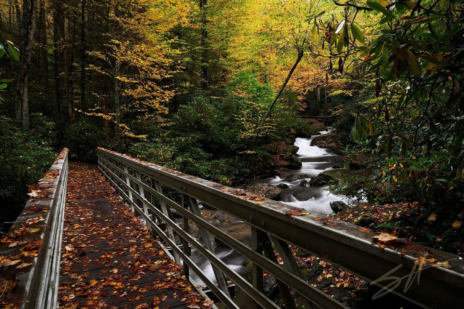 Footbridge over a stream on the Blue Ridge Parkway in Autumn