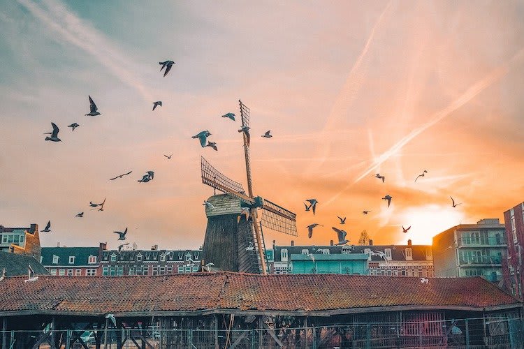 The Best Day Trips from Amsterdam