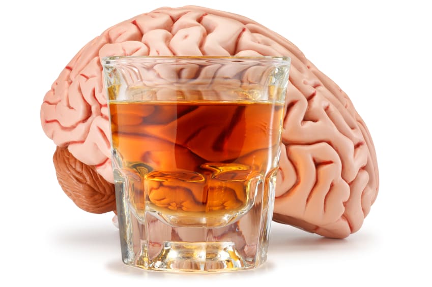How to Protect Your Brain from Alcohol & Never Be Hungover — Optimal Living Dynamics