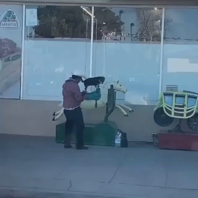 Cowboy dude taking his dog for a ride.