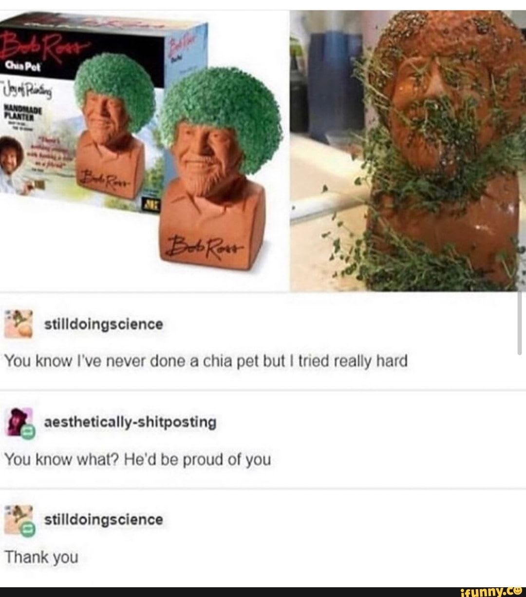 I tried i really tried but. Bob Ross chia Pet.