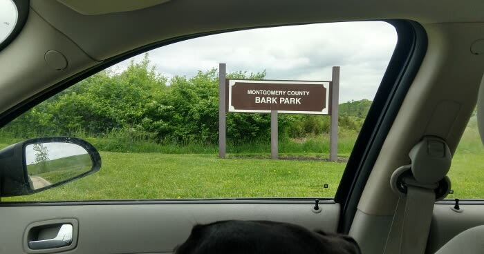 2019's First Trip to the Montgomery County Bark Park