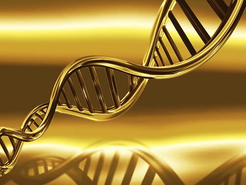 What Does Golden DNA Activation do?