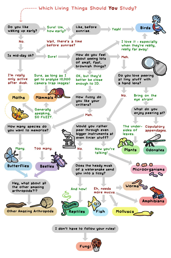 Which living thing should you study ?