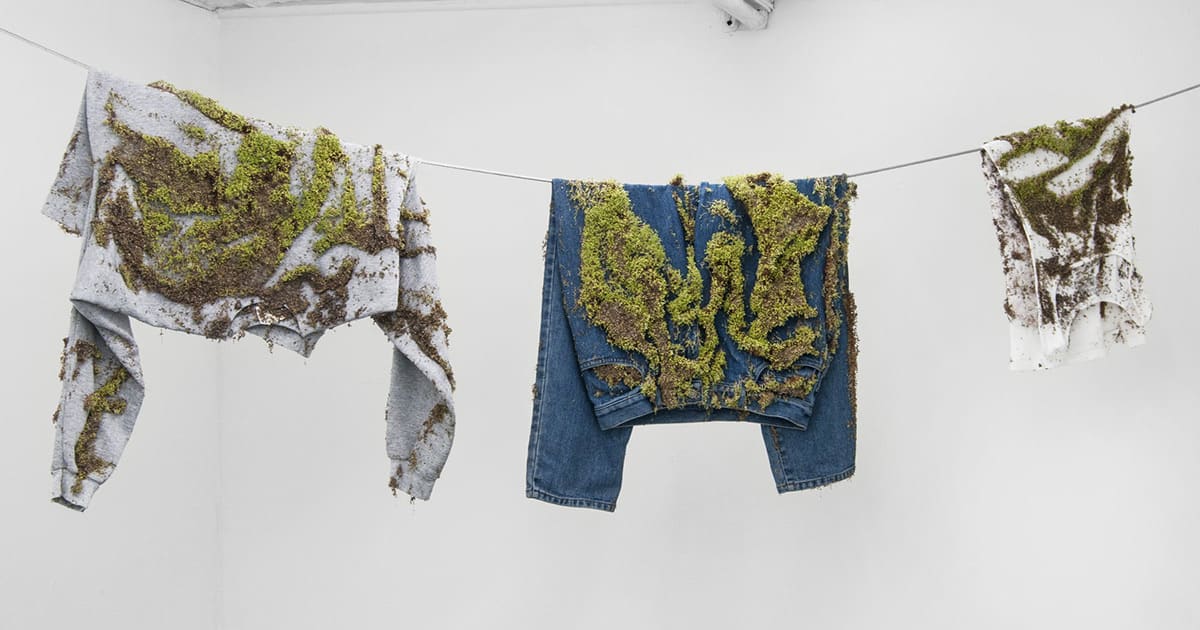 Living Chia Germinates from Clothing Abandoned on a Wash Line by Artist Bea Fremderman