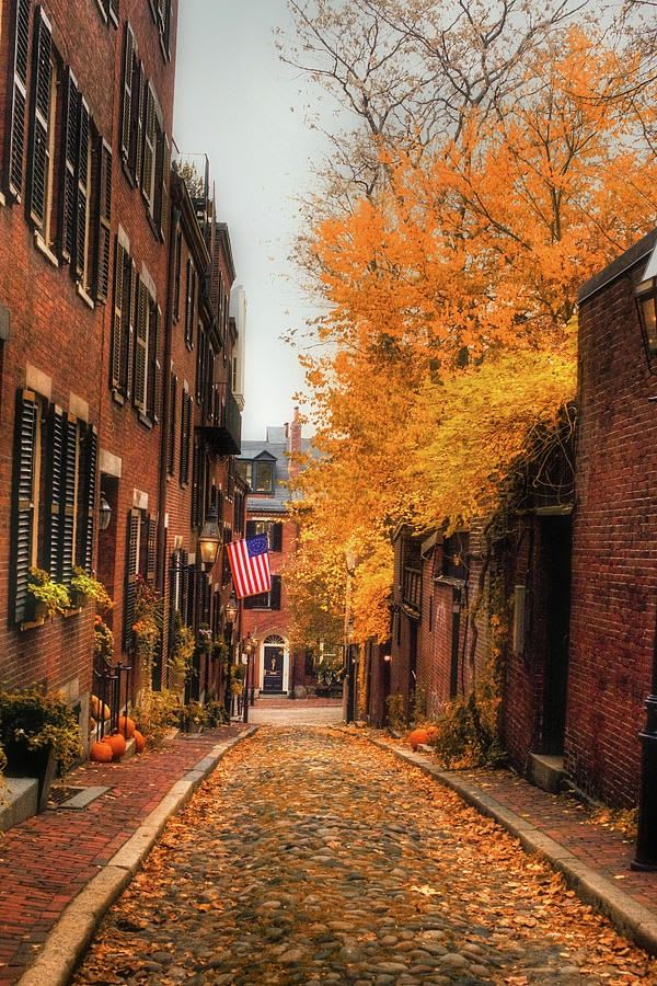 Pin by Erin Freedman on Intrigues | Boston in the fall, Boston photography, Scenery