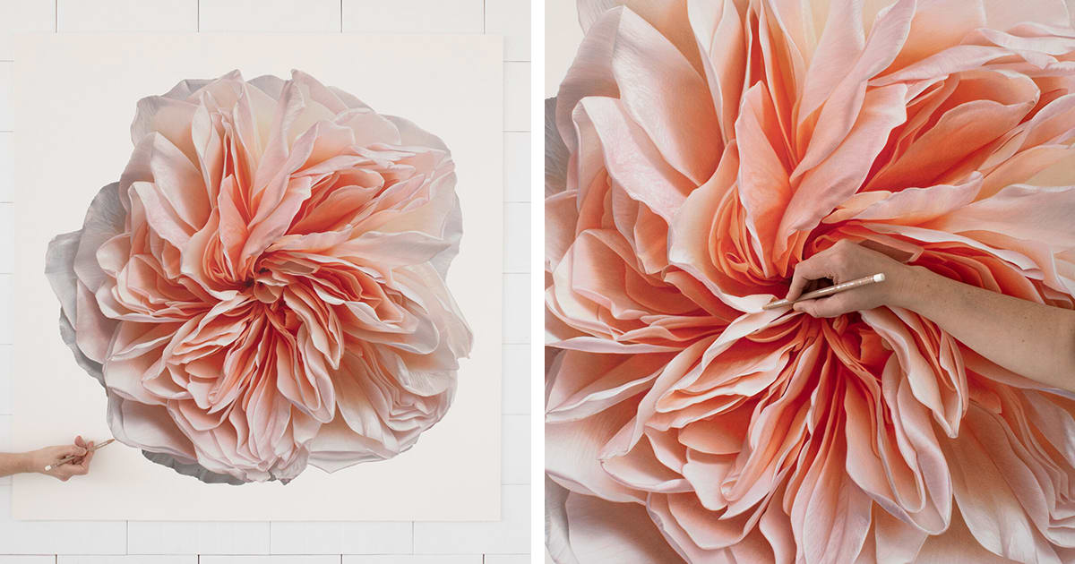 This Artist Creates Larger-Than-Life Flower Drawings With Colored Pencils