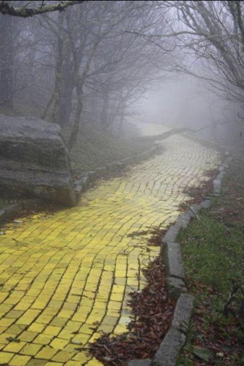 The abandoned Land of Oz theme park in Beech Mountain NC. Built in 1970.