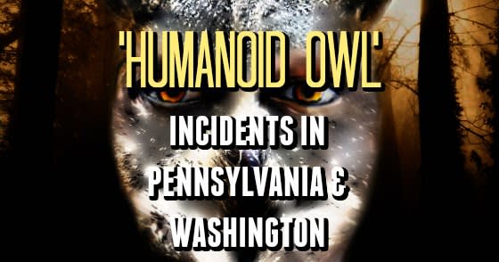 'Humanoid Owl' Incidents in Pennsylvania & Washington