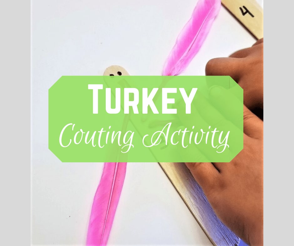 Simple Turkey Counting Activity - From Engineer to Stay at Home Mom