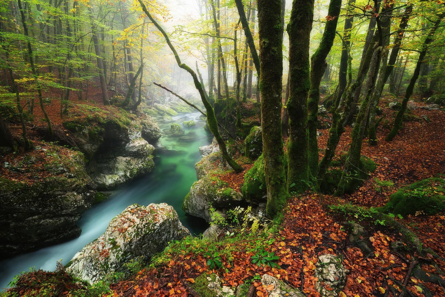 First Breath of Fall - Julian Alps, Slovenia - @nicolasalexanderotto