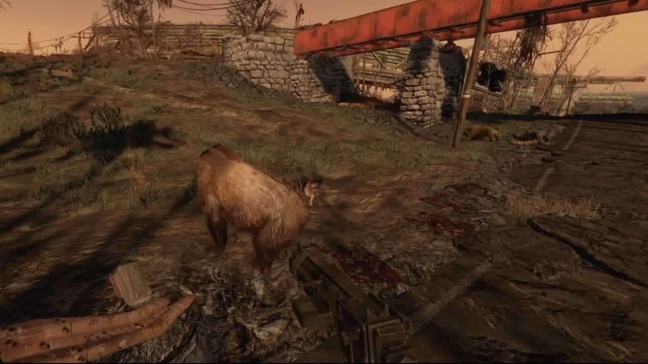 [Fallout 4 VR] Wasteland bear physics