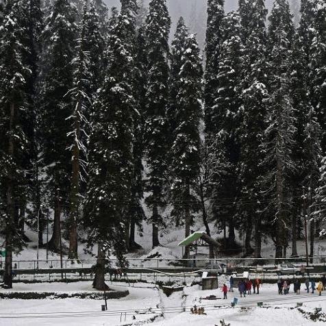 Heavy snowfall throws life out of gear in J-K, traffic, power take a hit, apple cultivation affected