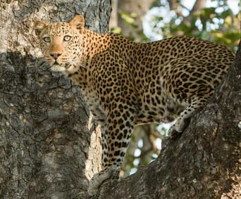 Best African safari holidays: 7 parks everyone should visit