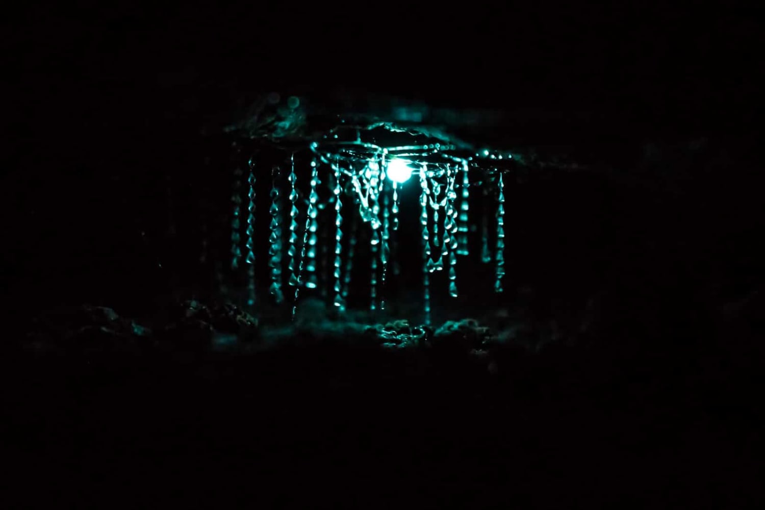 Want to save yourself some money? Here's how, and where, to find Glow Worms for FREE in New Zealand!