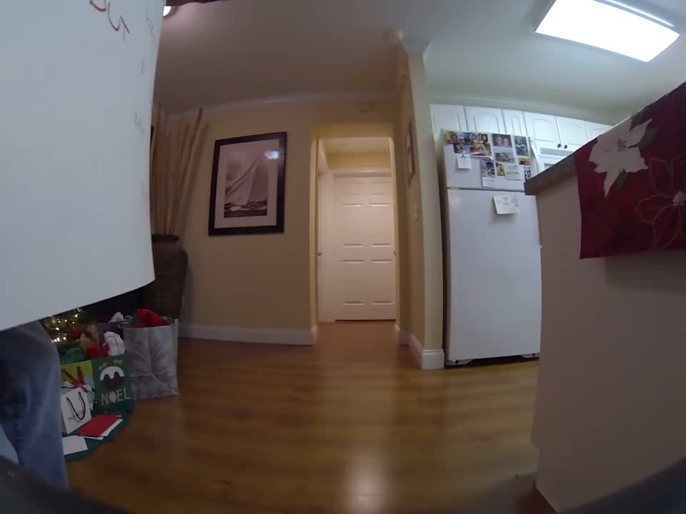 A guy surprised his wife with a golden retriever puppy for Christmas.