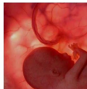 Usia Berapa Bulan Bayi Bergerak dalam Perut