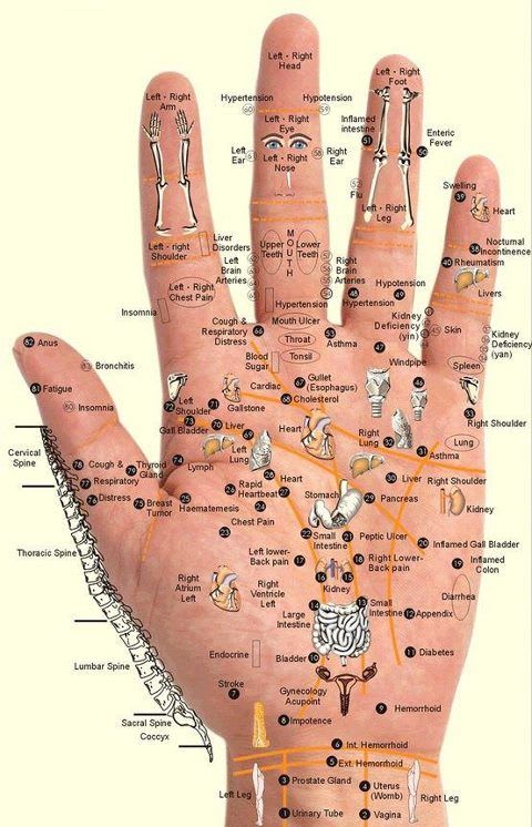 Acupressure Points for the Hands - PositiveMed