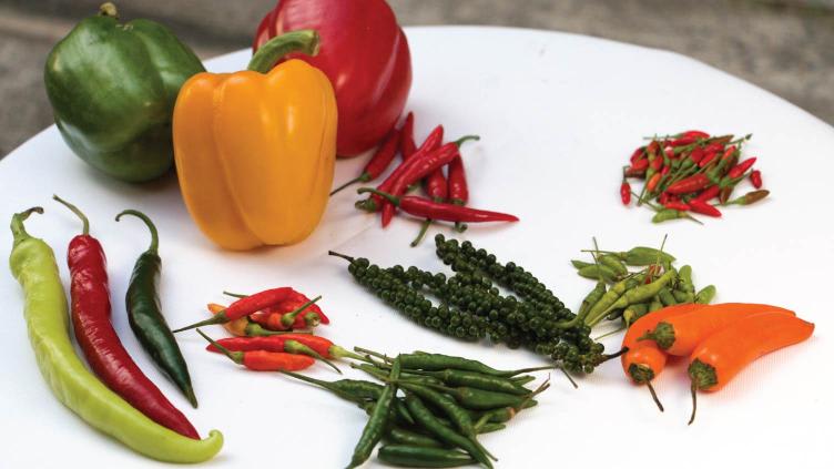 The Best Guide to Cooking with Chili Peppers and Using Substitutes