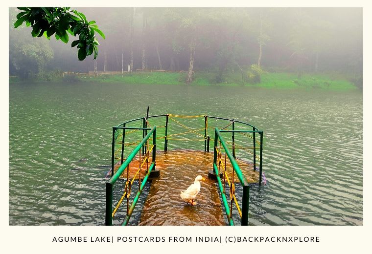 A postcard from Agumbe Ghats - Backpack & Explore