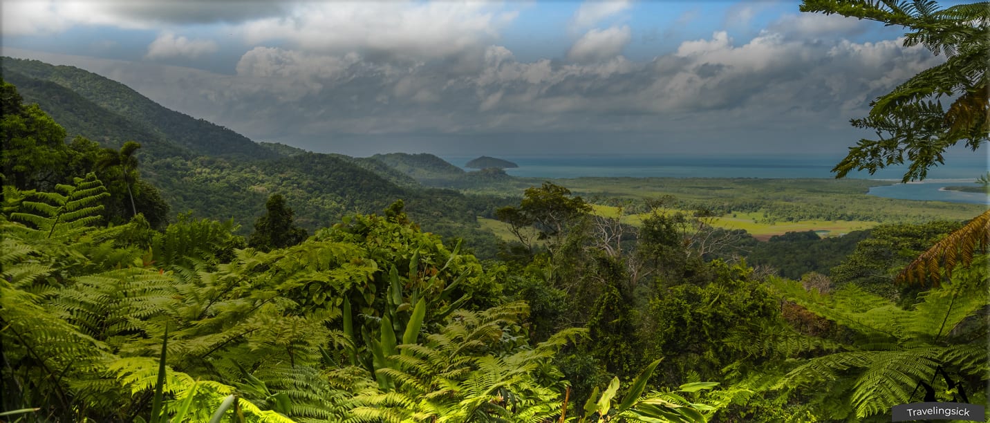 Daintree rainforest in Astralia Why you should visit?