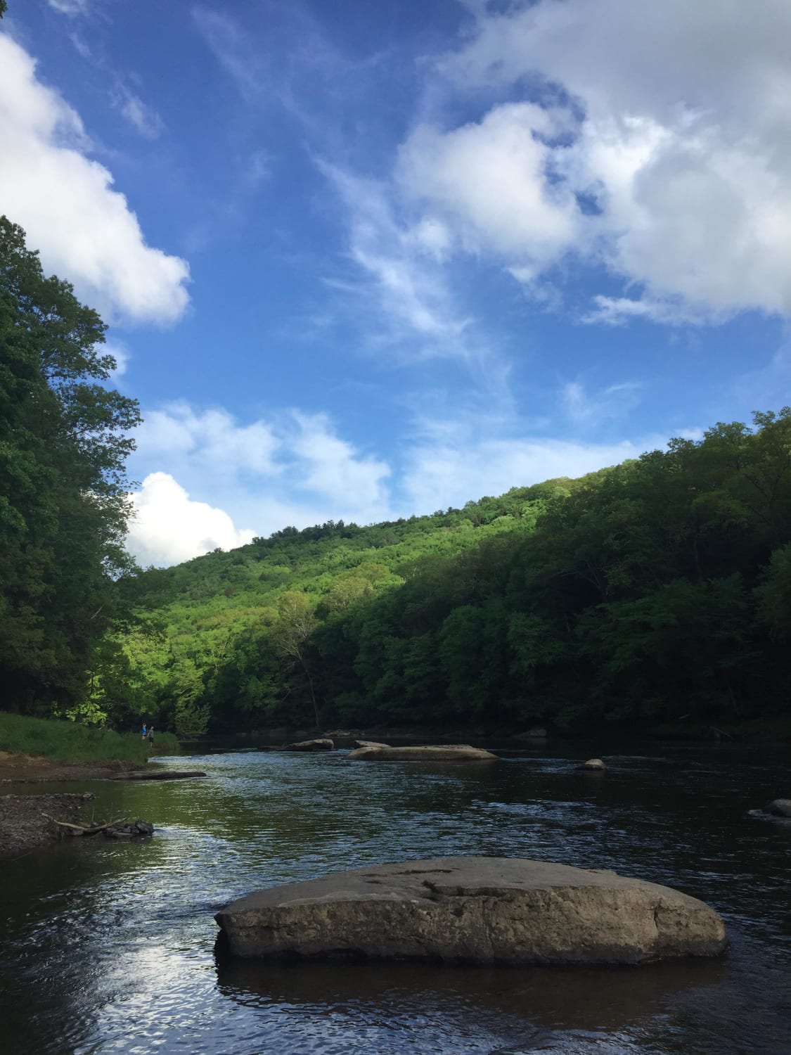 Clarion river at Cook Forest state park in PA