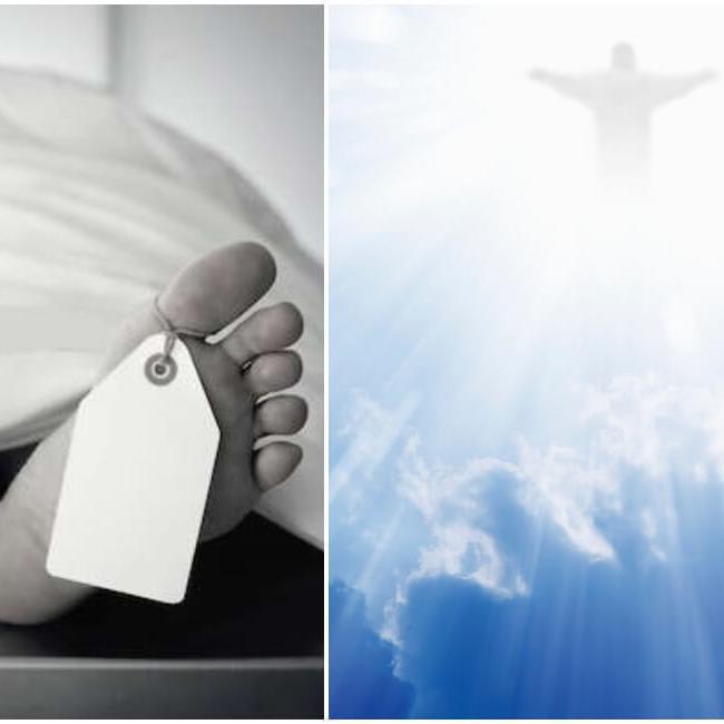 Life After Death: Scientists Reveal Shocking Research Results