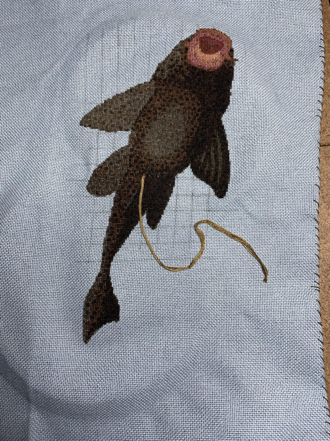 [FO] Self Drafted Pattern, Finished my plecostomus sucking on the glass (and pooping). Now to clean and frame!