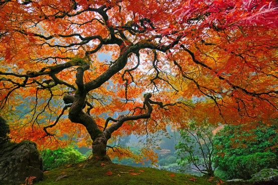 Amazing Photos of Fall Scenery-So Many Colors