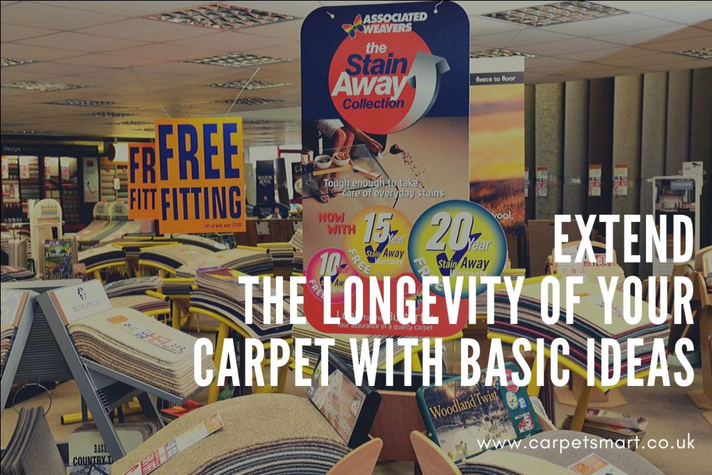 Extend The Longevity of Your Carpet With Basic Ideas