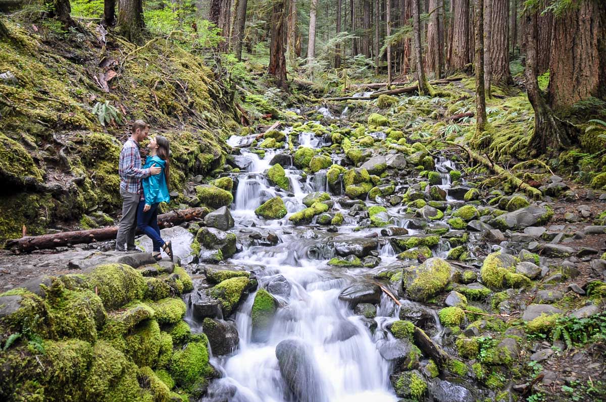13 Adventurous Things to do in Olympic National Park