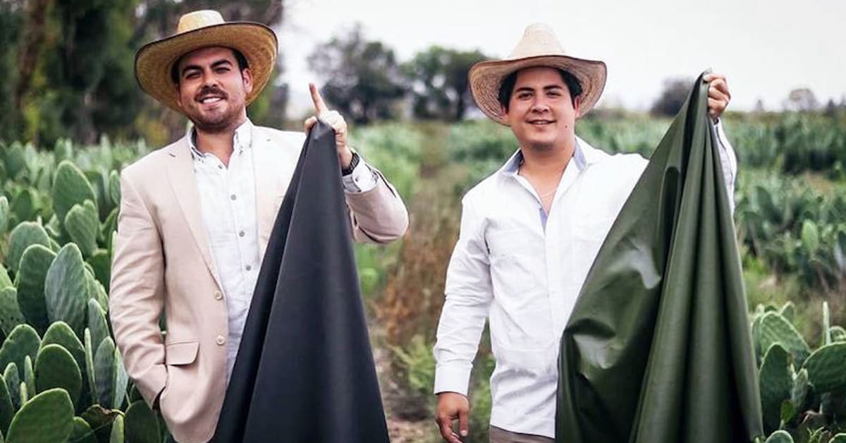 Cactus Leather Is the Newest Eco-Friendly Fabric