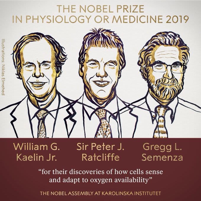 Nobel Prize in Medicine Awarded to Scientists Who Revealed How Cells Respond to Different Oxygen Levels